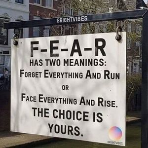 Meet your Posher, Anne